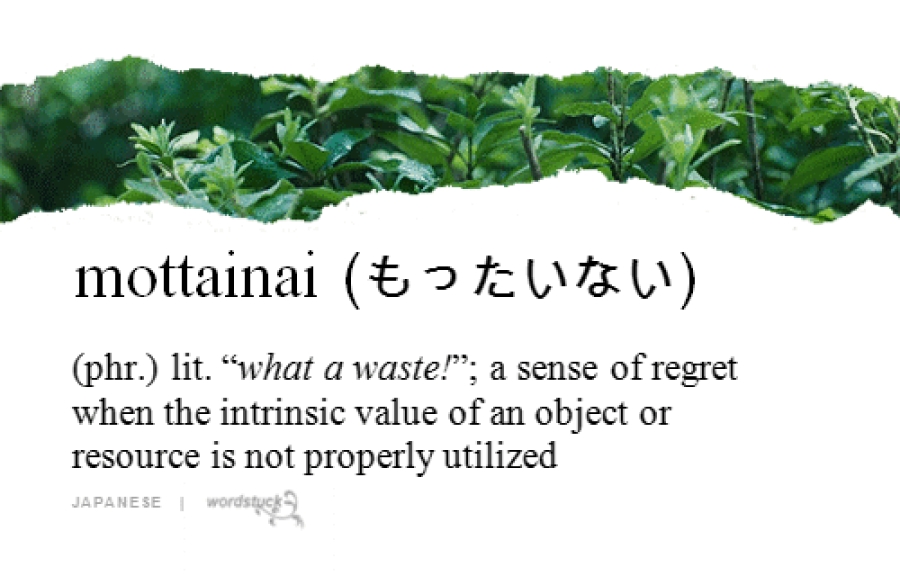 Mottainai : Menghormati dan Menghargai Sesuatu Ala Jepang