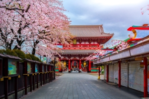 Mau Liburan? Ini Tips Liburan Murah ke Jepang