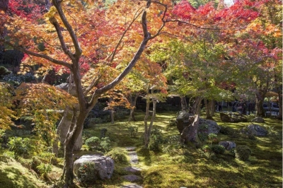 Sempurna Bagi Pencinta Alam, Berikut Jalur Trekking Terbaik di Jepang Saat Musim Gugur